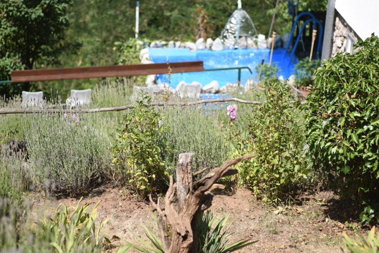 Vila Lena Meduvrsje Luaran gambar
